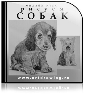 Собаки поэтапно (74 фото) - картинки витамин-п-байкальский.рф