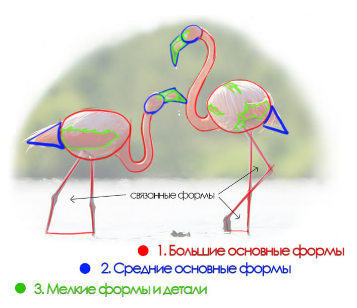 Линейная графика рисунок